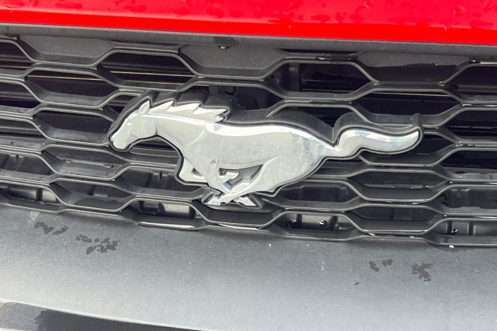 2021 Ford Mustang EcoBoost