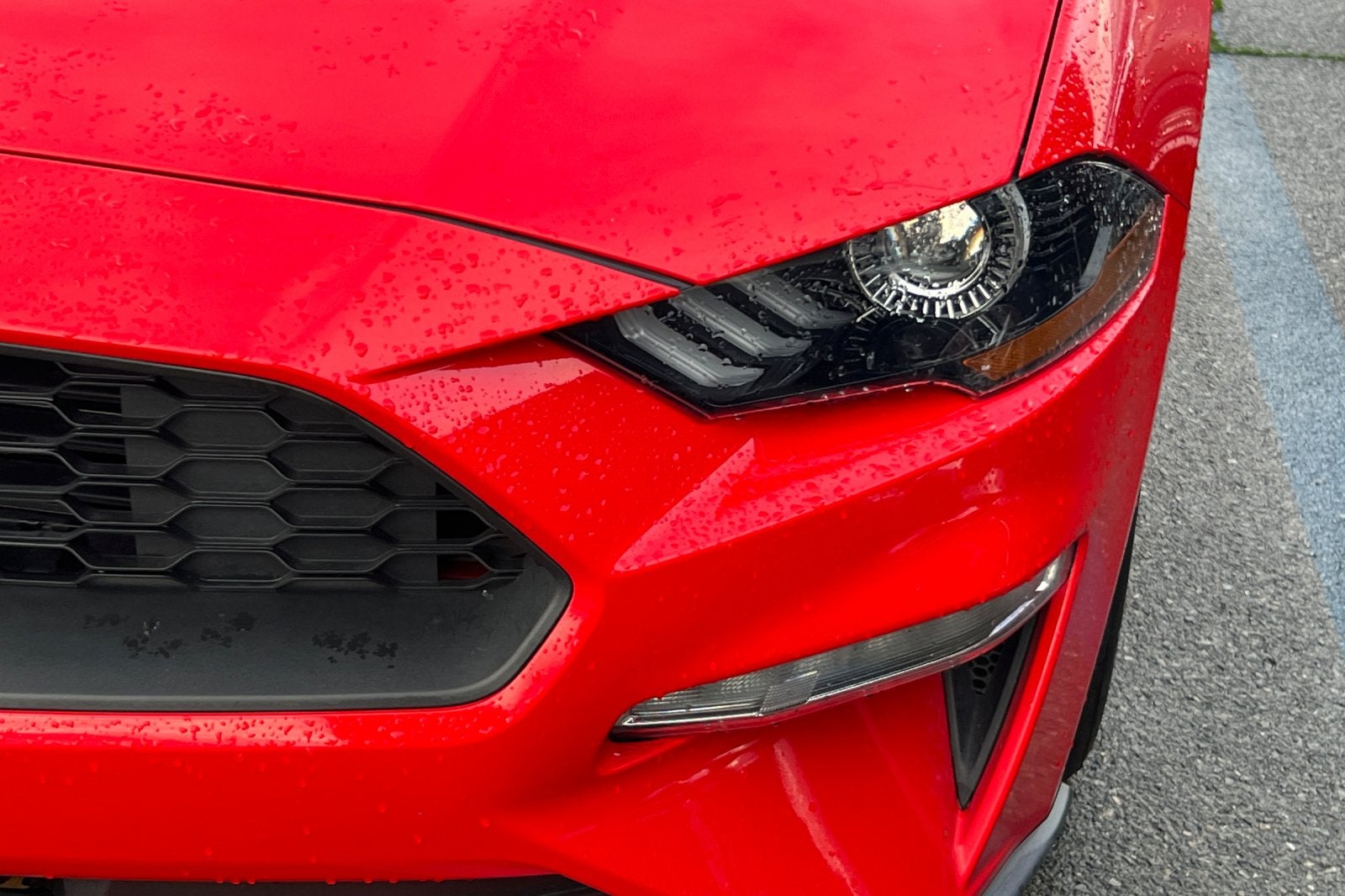 2021 Ford Mustang EcoBoost