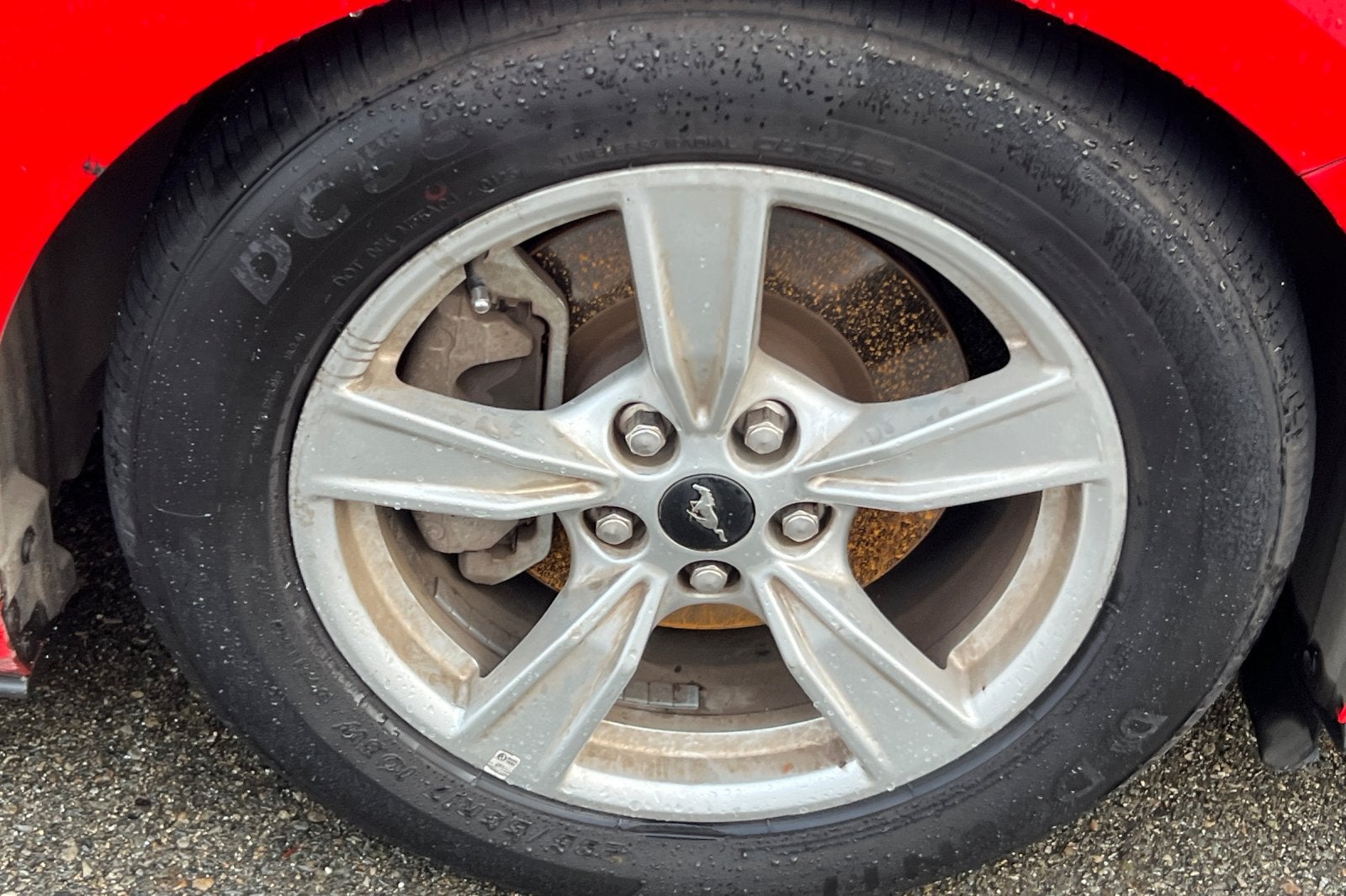 2021 Ford Mustang EcoBoost