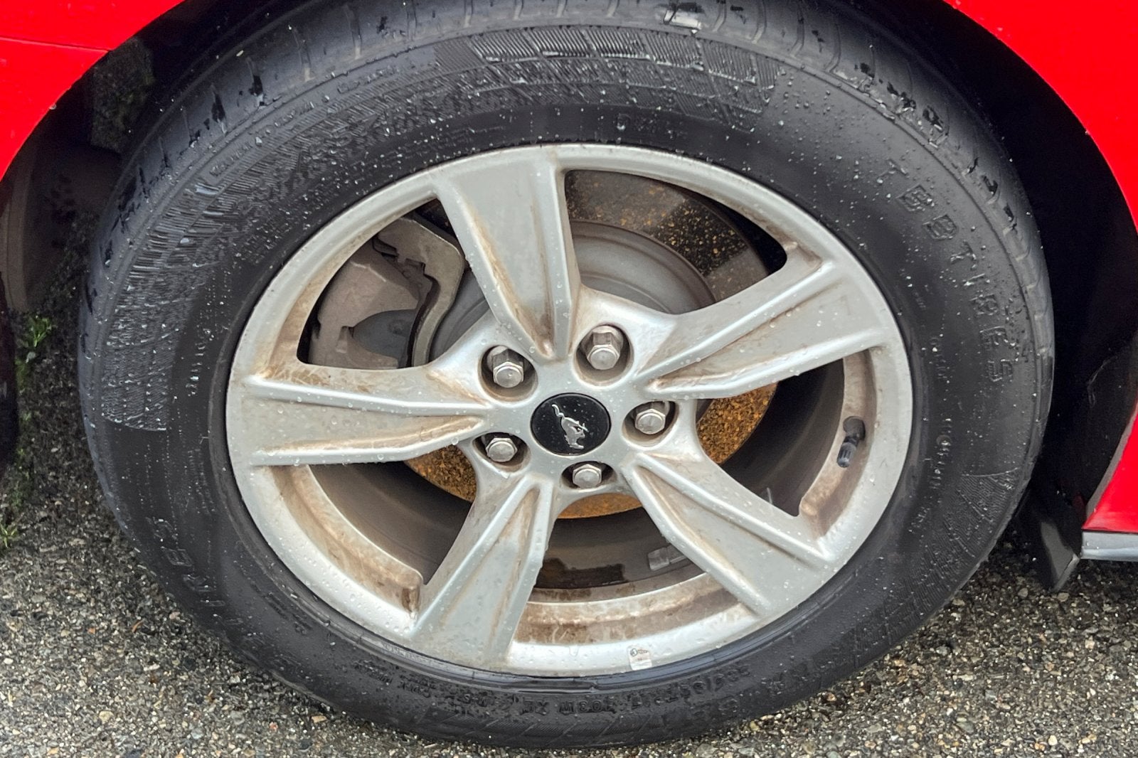 2021 Ford Mustang EcoBoost