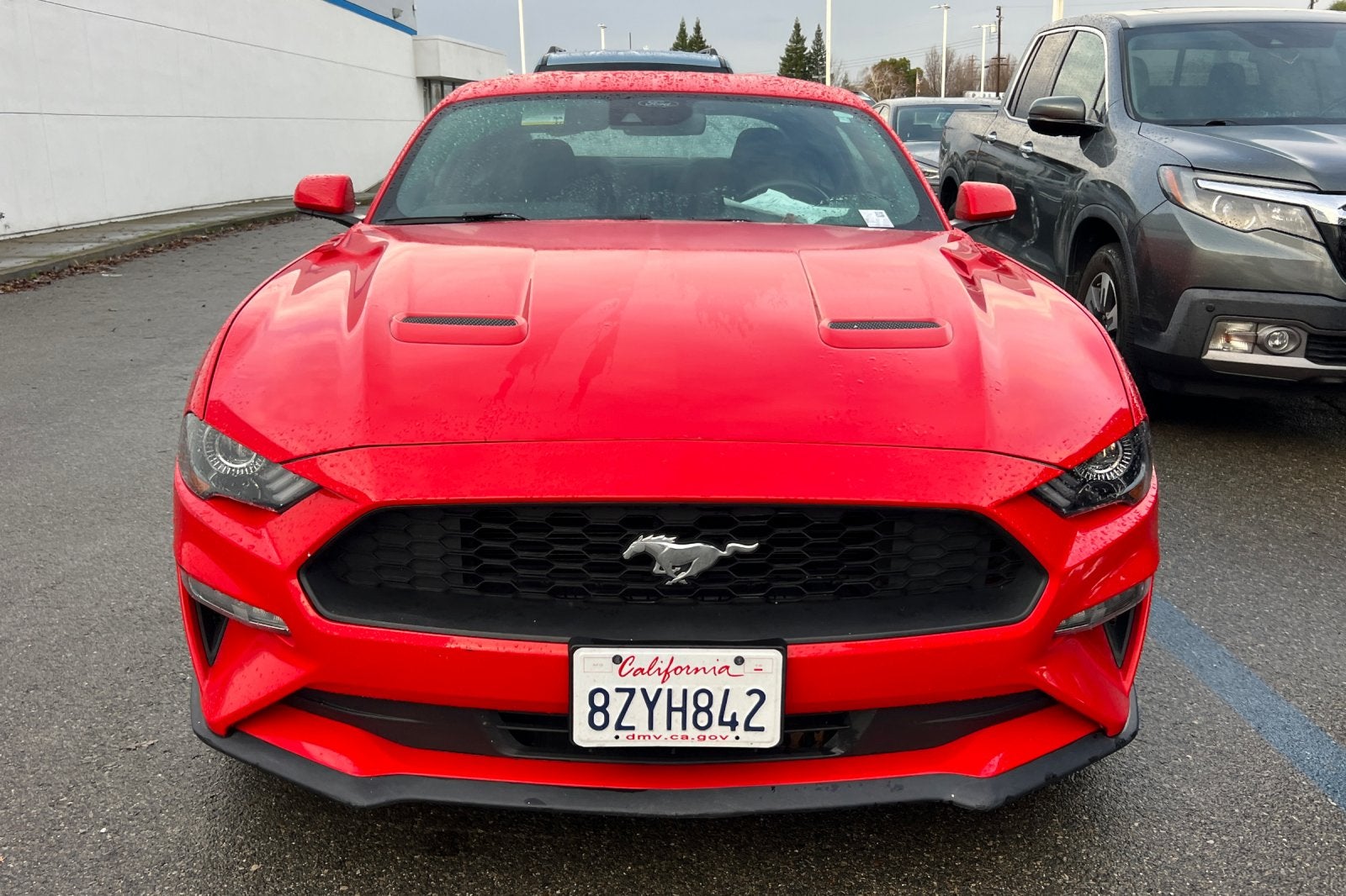 2021 Ford Mustang EcoBoost