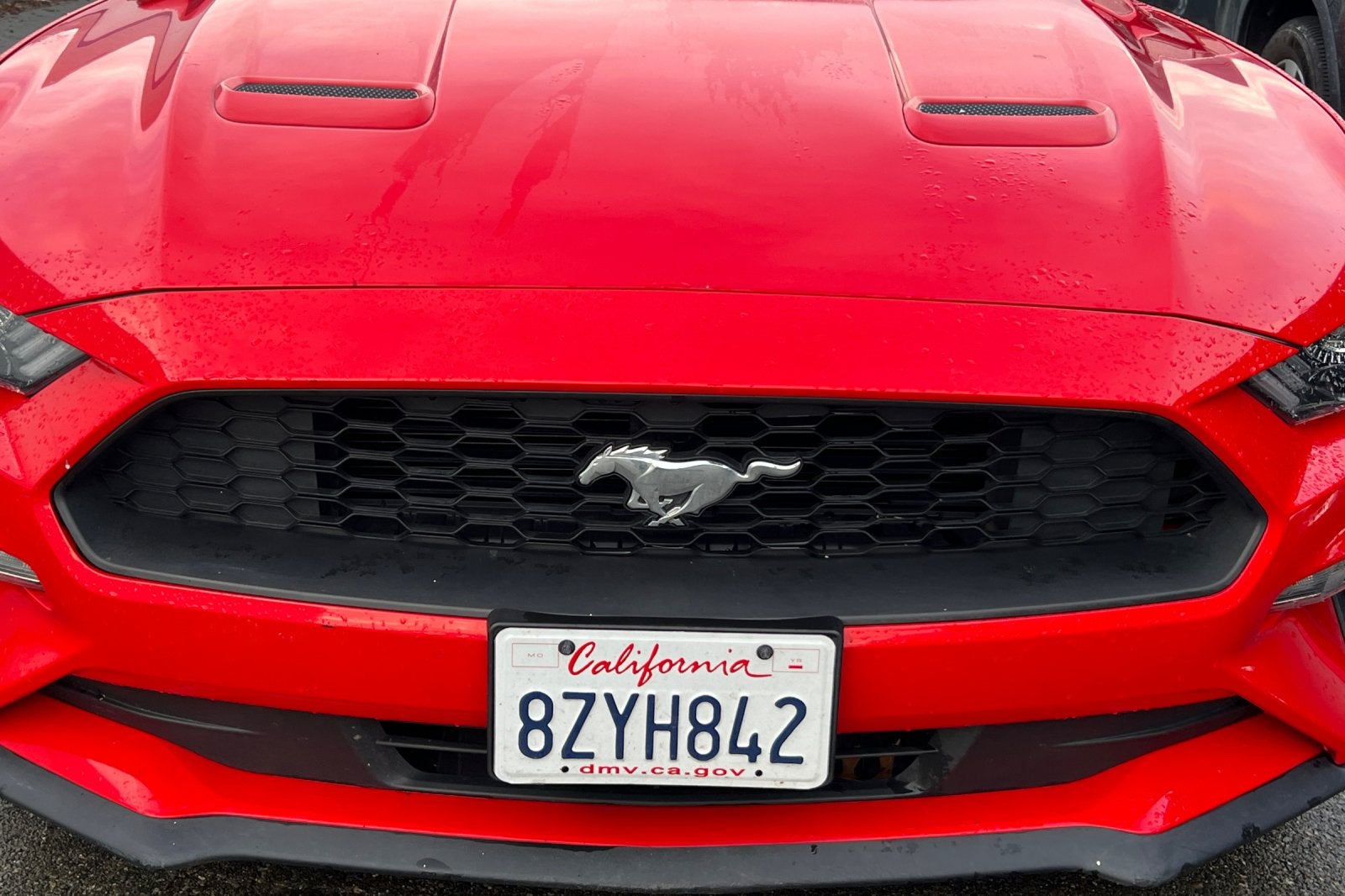 2021 Ford Mustang EcoBoost
