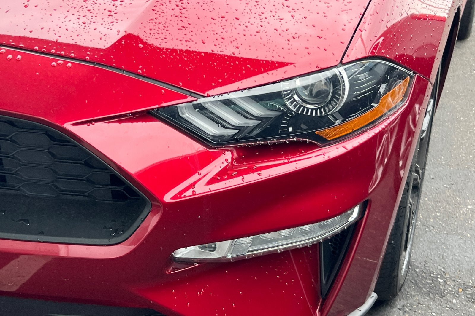 2019 Ford Mustang EcoBoost Premium