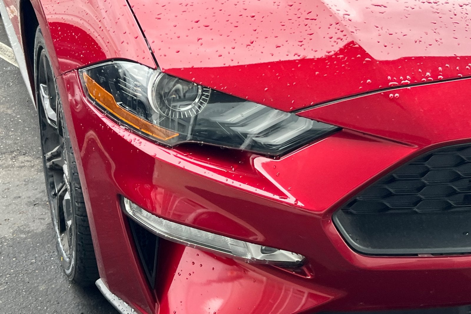 2019 Ford Mustang EcoBoost Premium