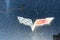 2005 Chevrolet Corvette Base