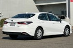 2023 Toyota Camry Hybrid LE