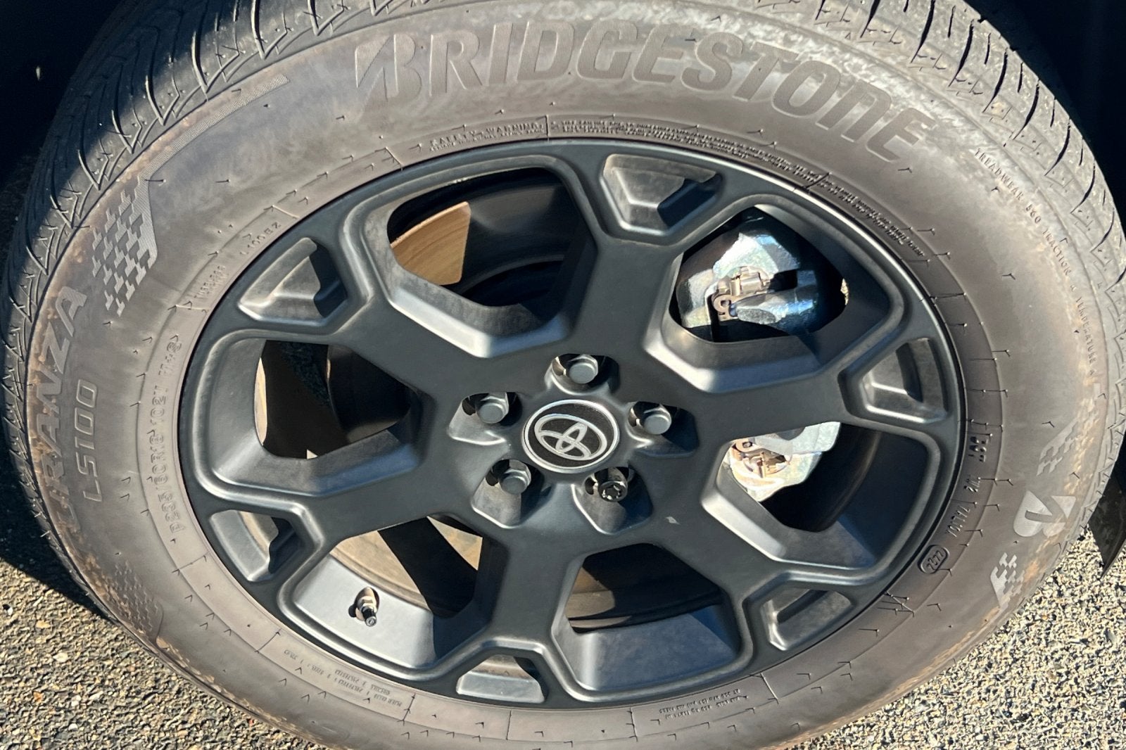 2025 Toyota Sienna Woodland Edition