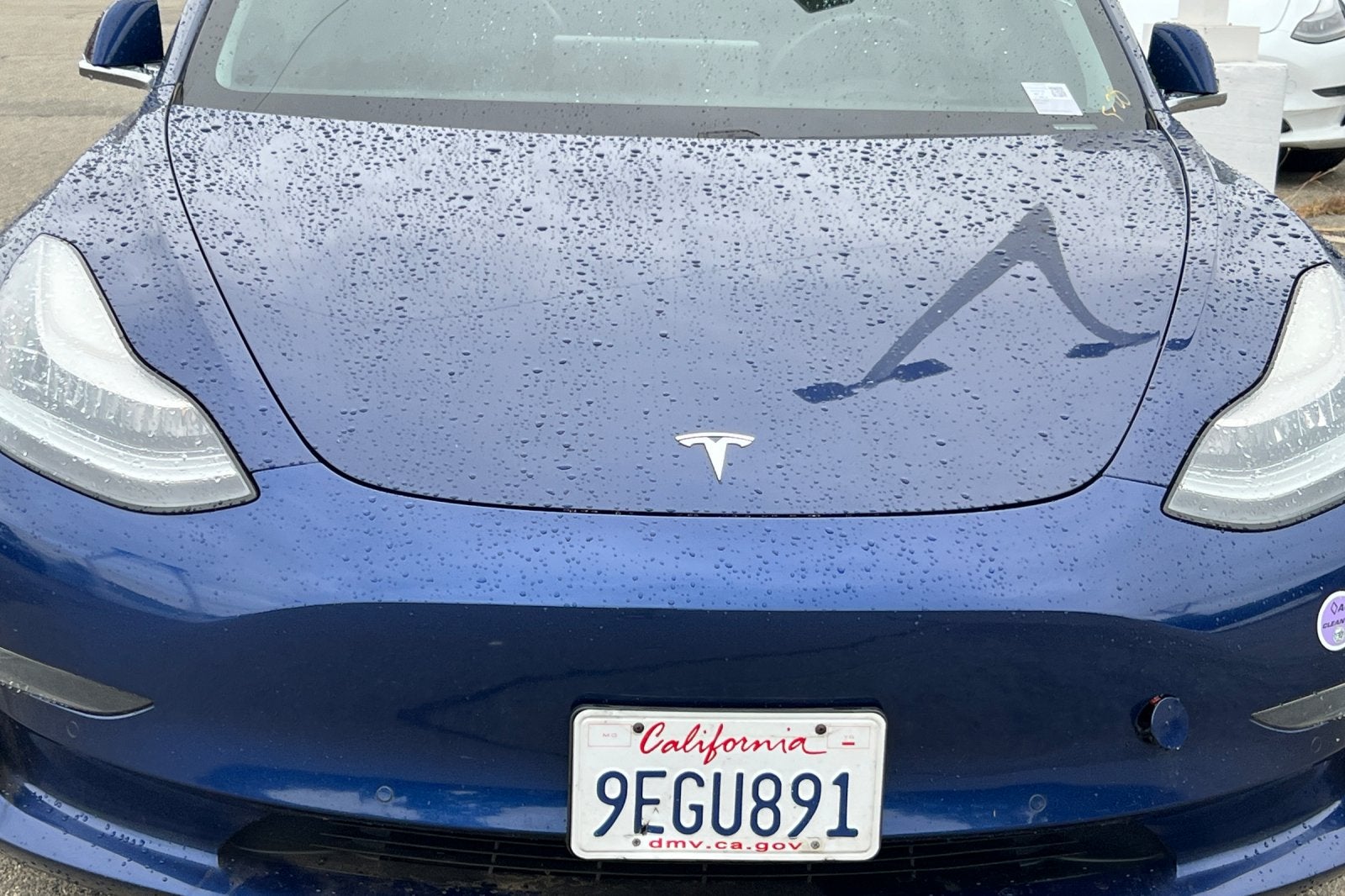 2019 Tesla Model 3 Standard Range