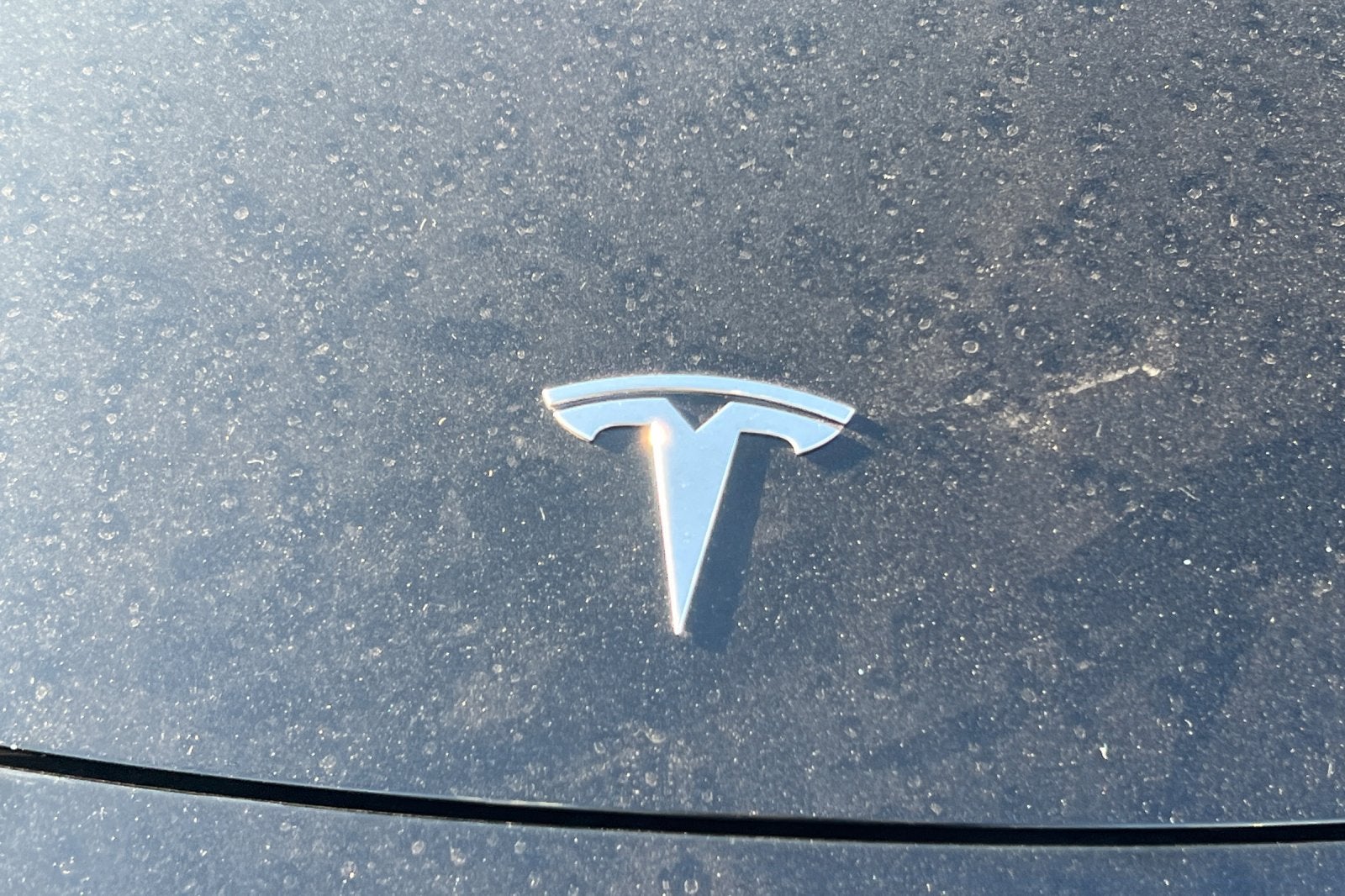 2019 Tesla Model 3 Standard Range