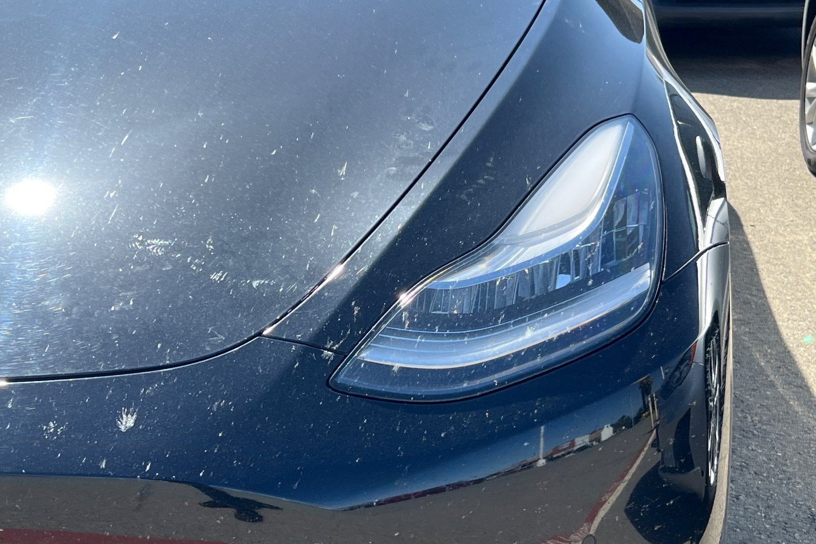 2020 Tesla Model Y Performance