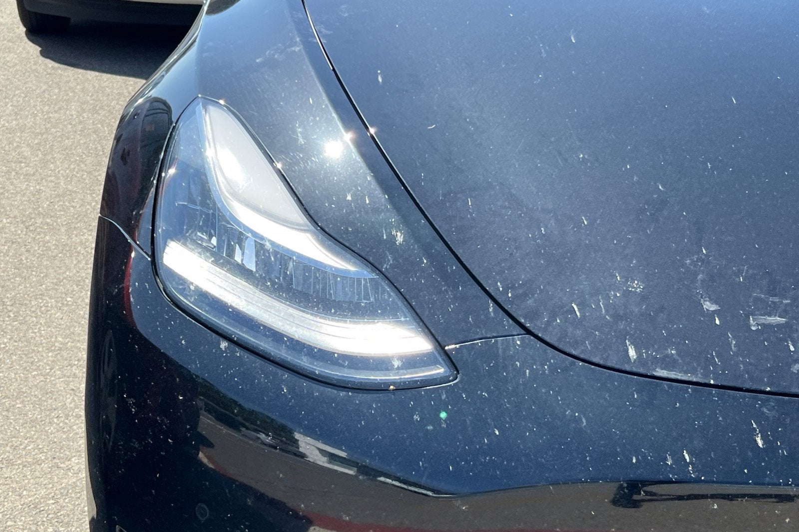 2020 Tesla Model Y Performance