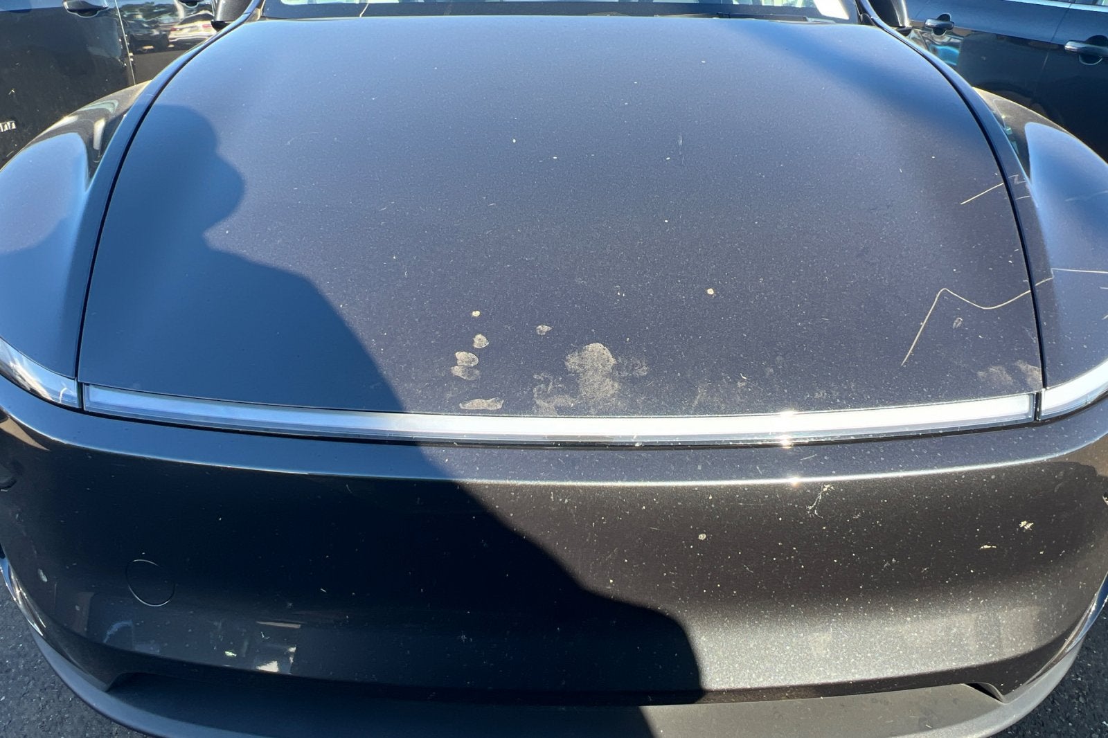 2026 Tesla Model Y Base