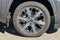 2024 Toyota Sequoia Capstone