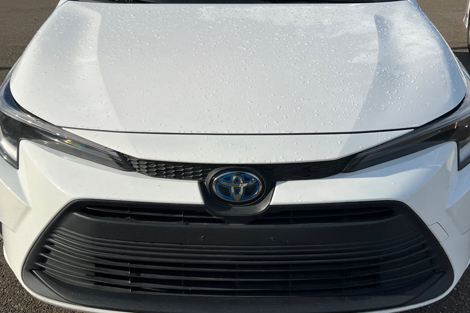 2023 Toyota Corolla Hybrid LE