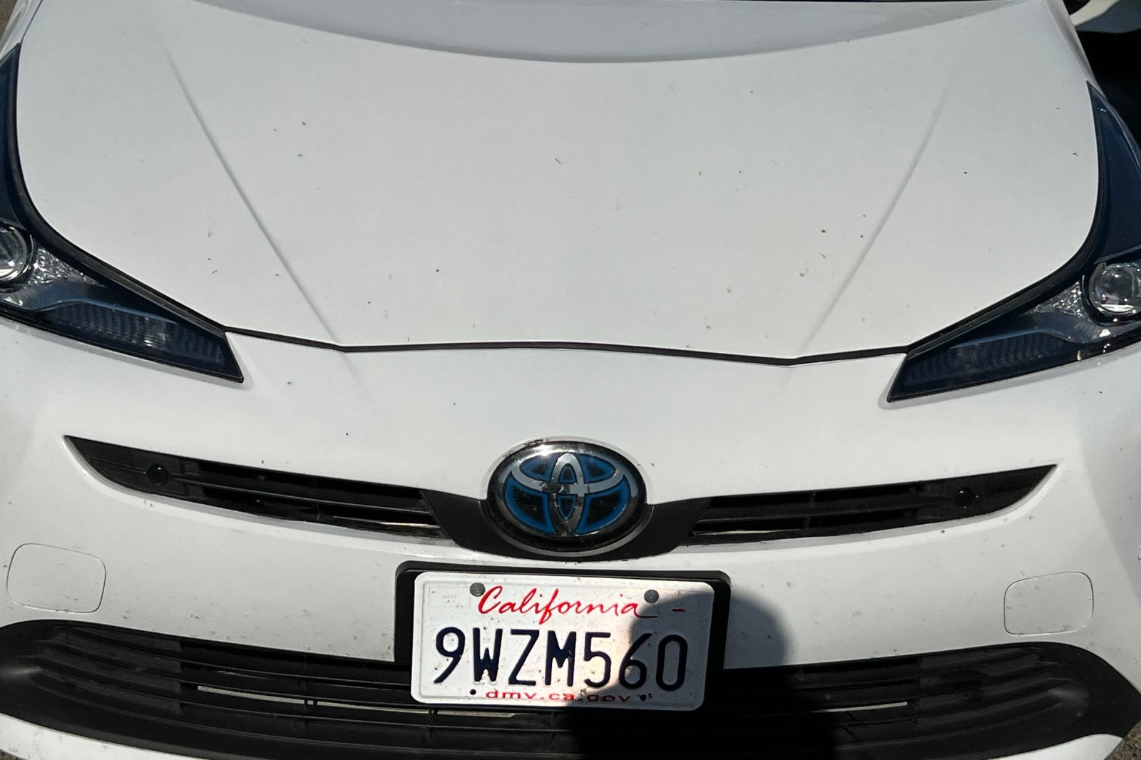 2022 Toyota Prius LE
