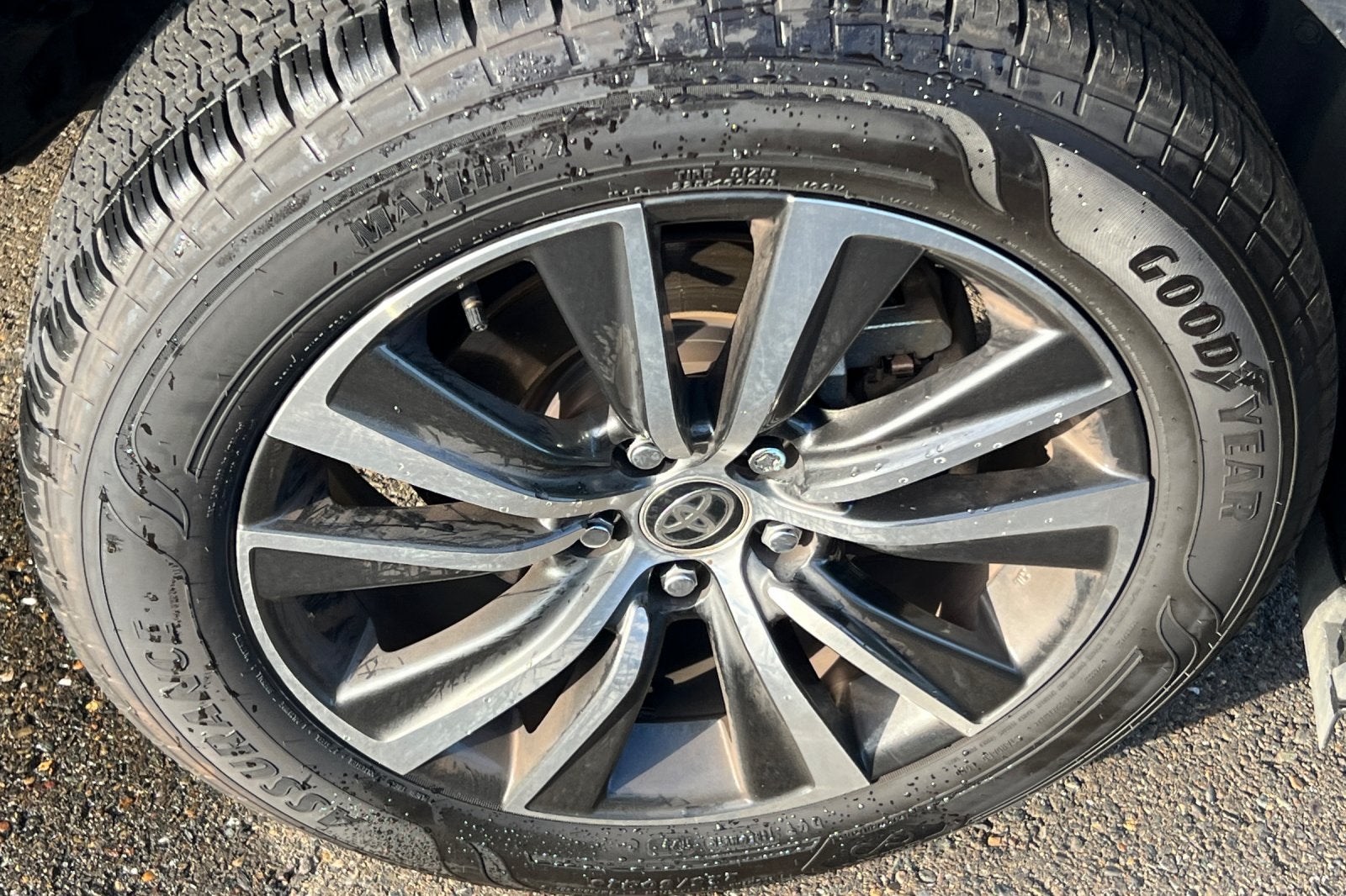 2023 Toyota Venza LE