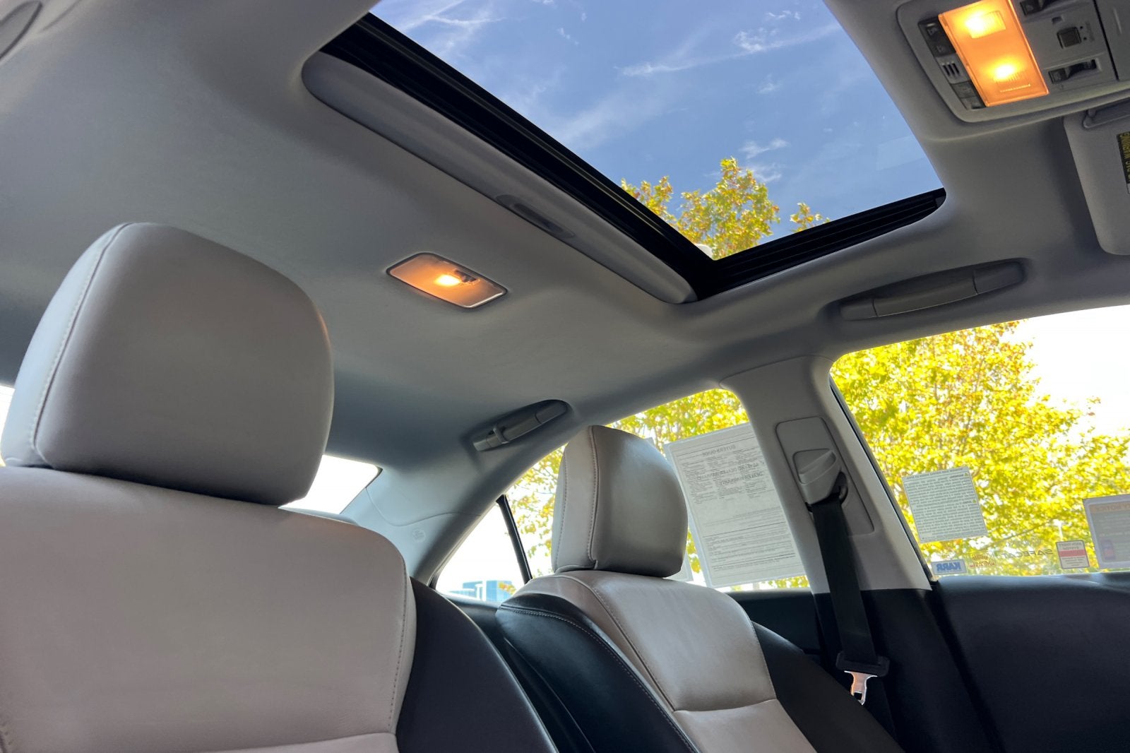 2010 Lexus HS 250h 