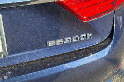 2014 Lexus ES 300h Hybrid