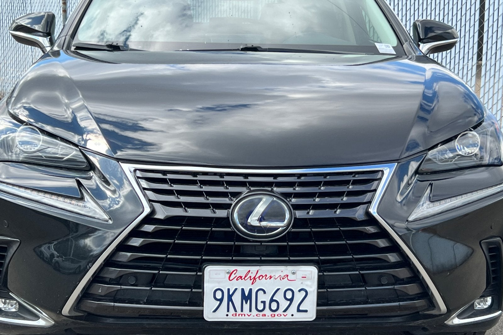 2020 Lexus NX 300h 