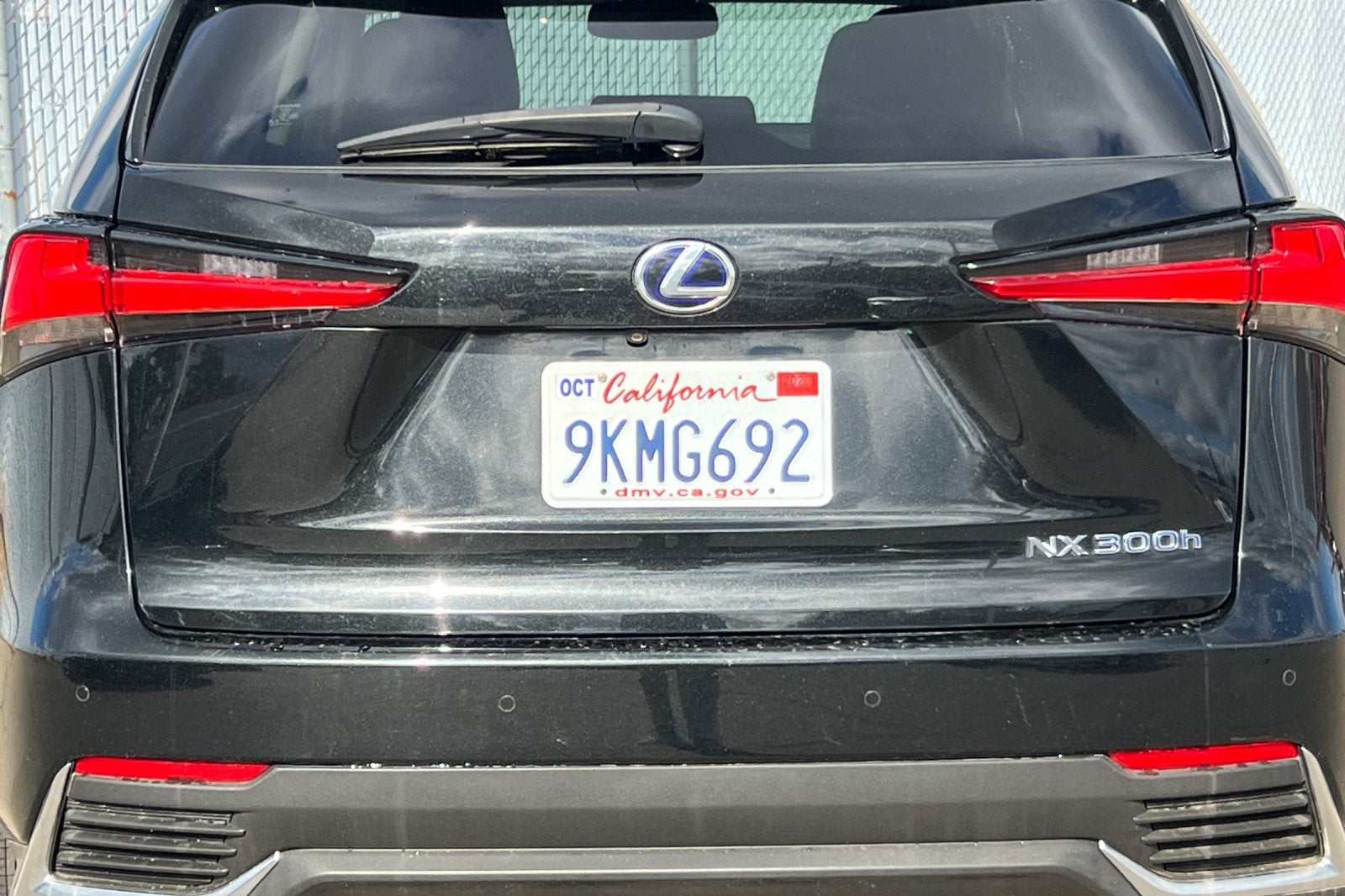 2020 Lexus NX 300h 
