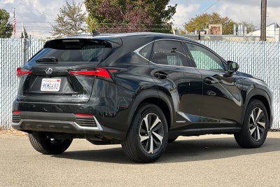 2020 Lexus NX 300h 