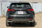 2020 Lexus NX 300h 