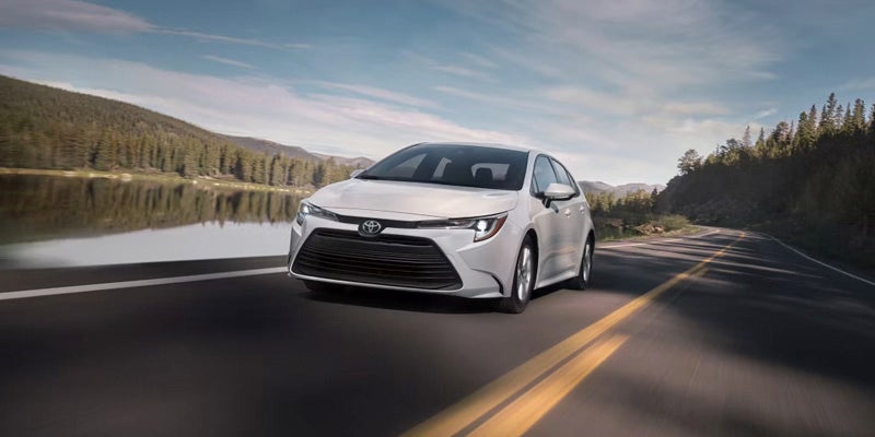 Toyota Corolla on road